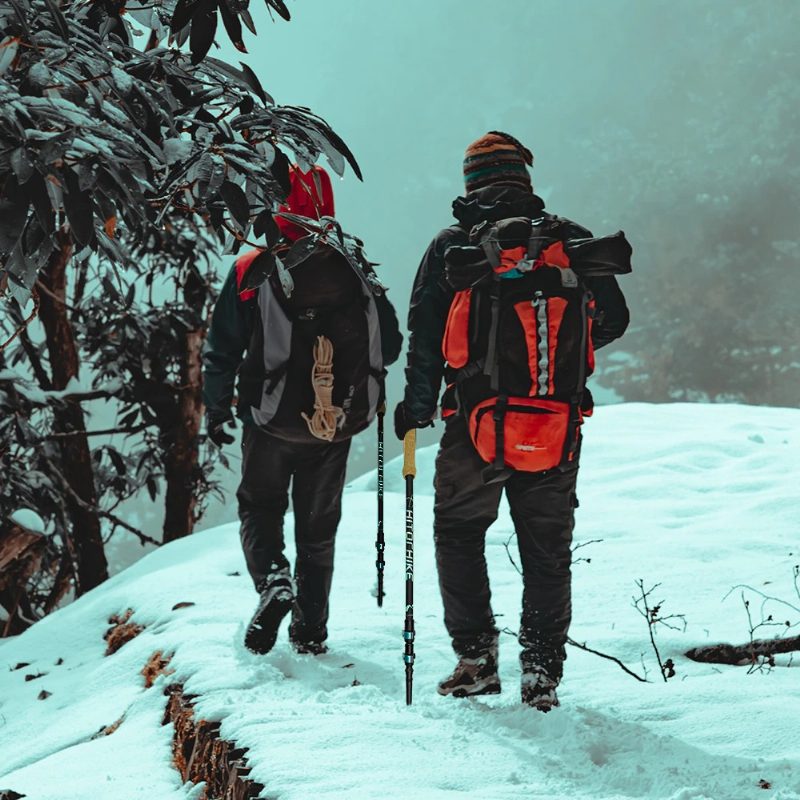 Trekking Poles Túra Összecsukható Bot Nordic