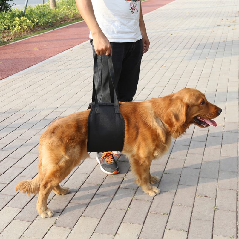 Dog Lift Support Kutya Sling