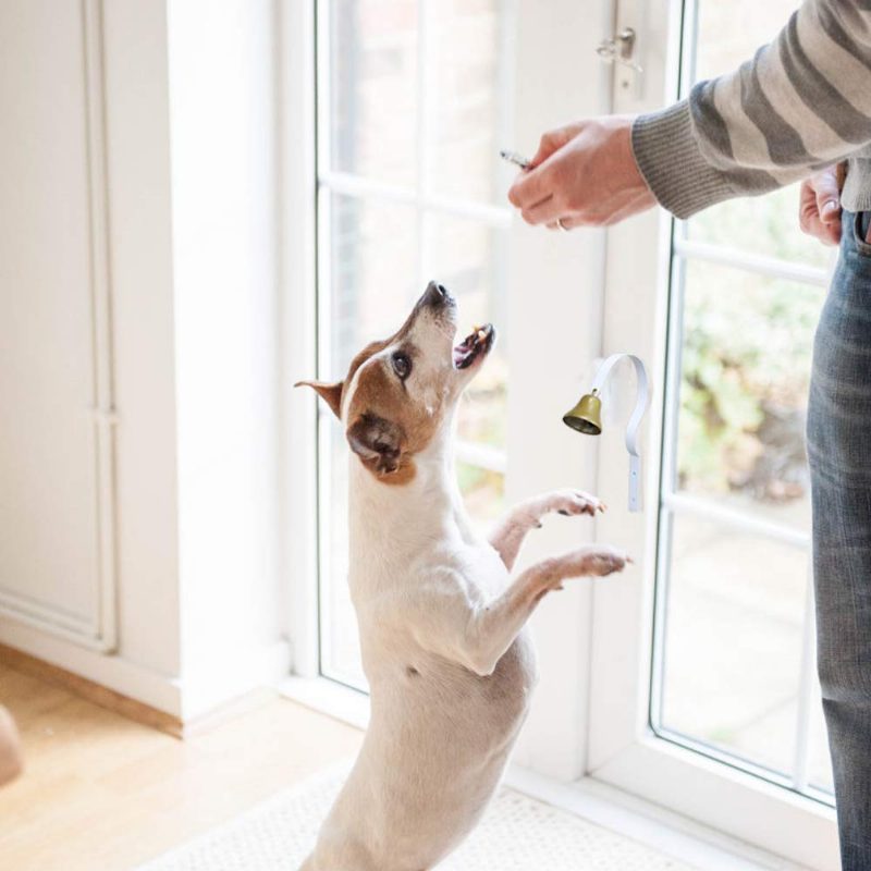 Dog Tinkle Bells Falra Szerelhető Bili Kiképző Ajtócsengő