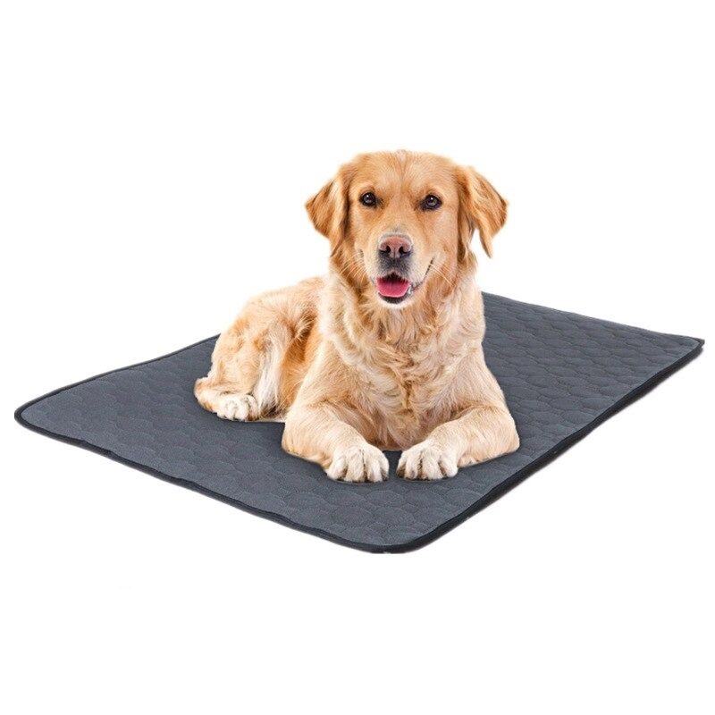 Pet Pee Pad Vízálló Vizelet Nedvszívó Párna Szőnyeg Edzés Pad