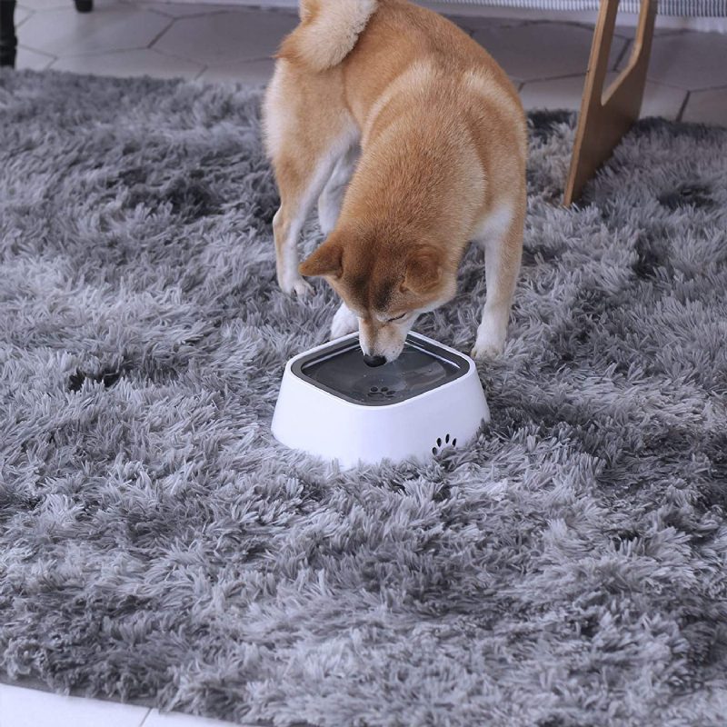 Pet Water Bowl Lebegő Korong Fröccsenésmentes Nem Nedvesedő Szájú Lassú Adagoló