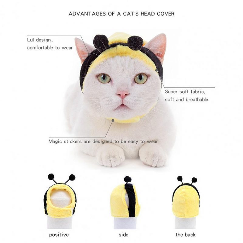 Aranyos Rajzfilm Bee Cat Hat