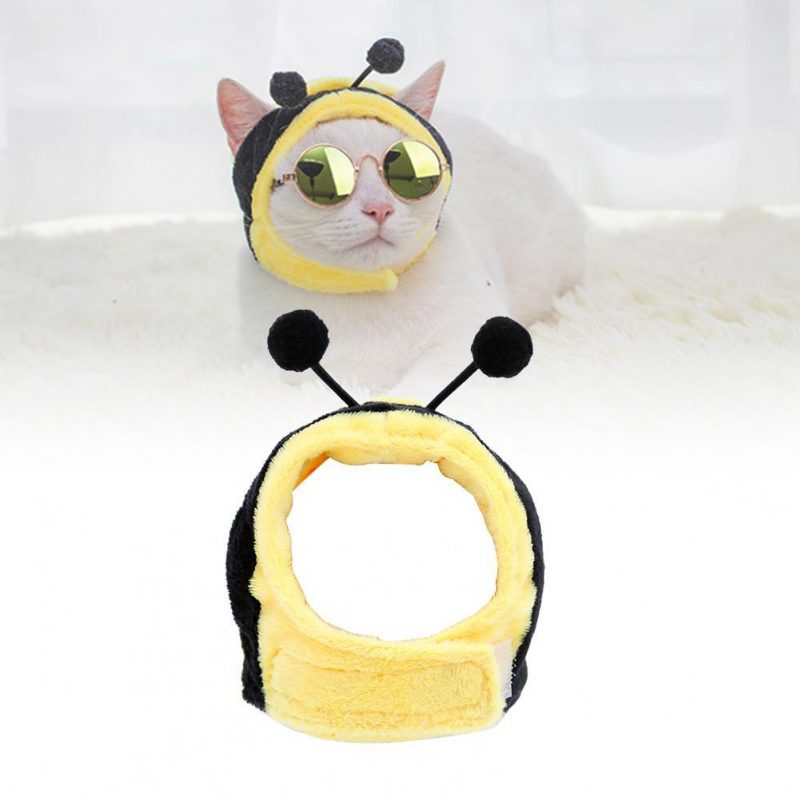 Aranyos Rajzfilm Bee Cat Hat