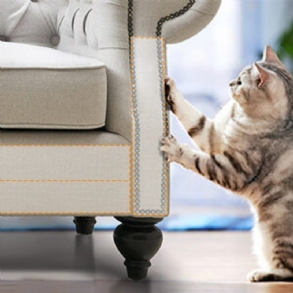 Focuspet Karcolásgátló Szalag 4" X 33 Yardos (33%-kal Szélesebb) Macskák Bútorvédői Cat Training Tape Karcoló Párna Kétoldalas Bútorvédők