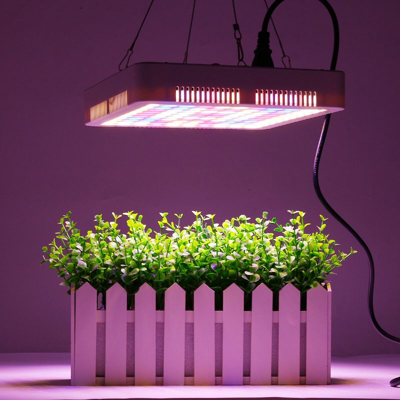 100 Led Grow Light Teljes Spektrumú Panel Beltéri Hidrovega Virágos Növényi Lámpához