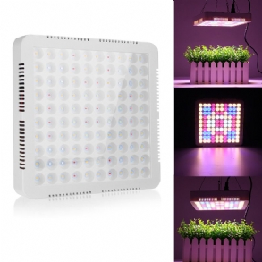 100 Led Grow Light Teljes Spektrumú Panel Beltéri Hidrovega Virágos Növényi Lámpához