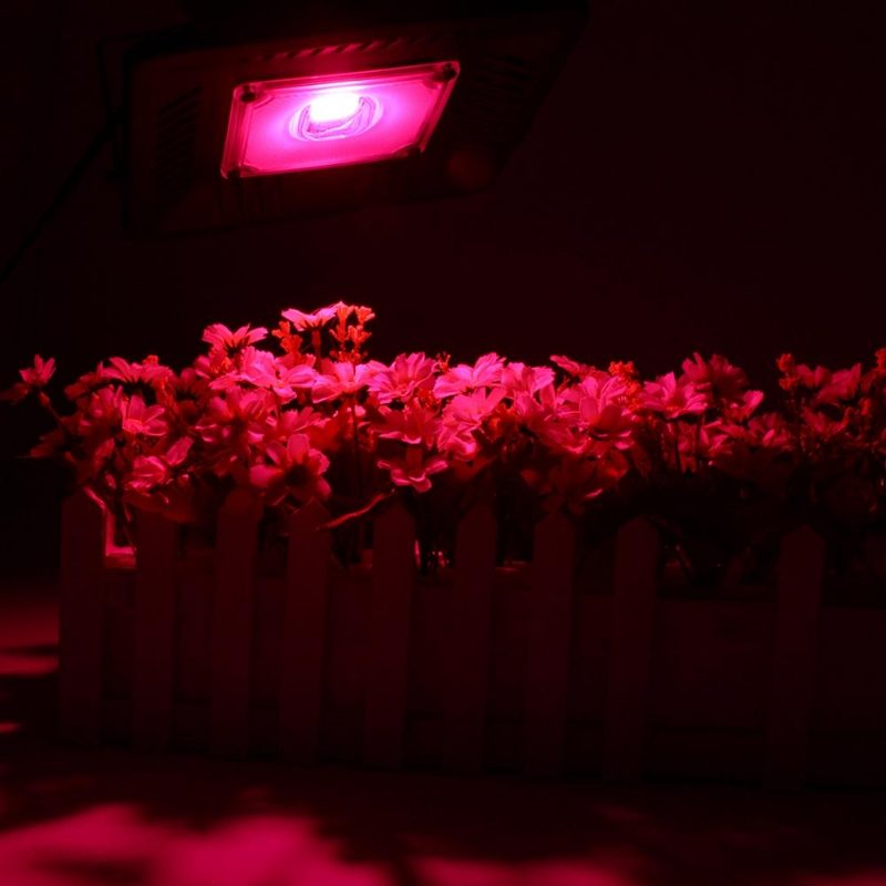 100 W Teljes Spektrumú Cob Led Grow Flood Light Vízálló Növényi Zöldségvirág Hidroponikus Lámpa Ac90-264v