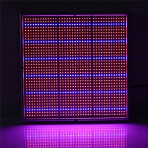 100w 1131red 234blue Led Grow Light Növénytermesztő Lámpa Kerti Üvegházhatású Növénypalánta Fény