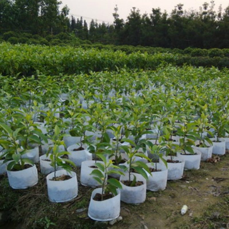 10db Környezetbarát Kerek Szövet Cserepes Ültetőtasak Root Grow Levegőztető Konténer Palántazsák Doboz