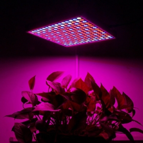 1200 W Led Spectrum Grow Light Növekvő Lámpa Hidroponikus Beltéri Növényekhez