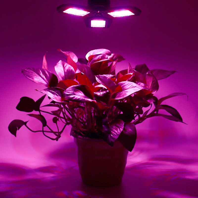 144 Led Grow Lights Panel Teljes Spektrumú E27 Led Növénynövekedési Üvegházi Lámpa