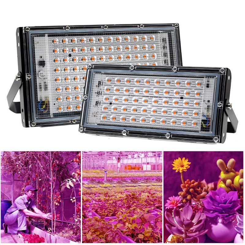 220v Led Grow Light Fitolámpa Növények Teljes Spektrumú Led Floodlight Virágok Palánták Növénytermesztés