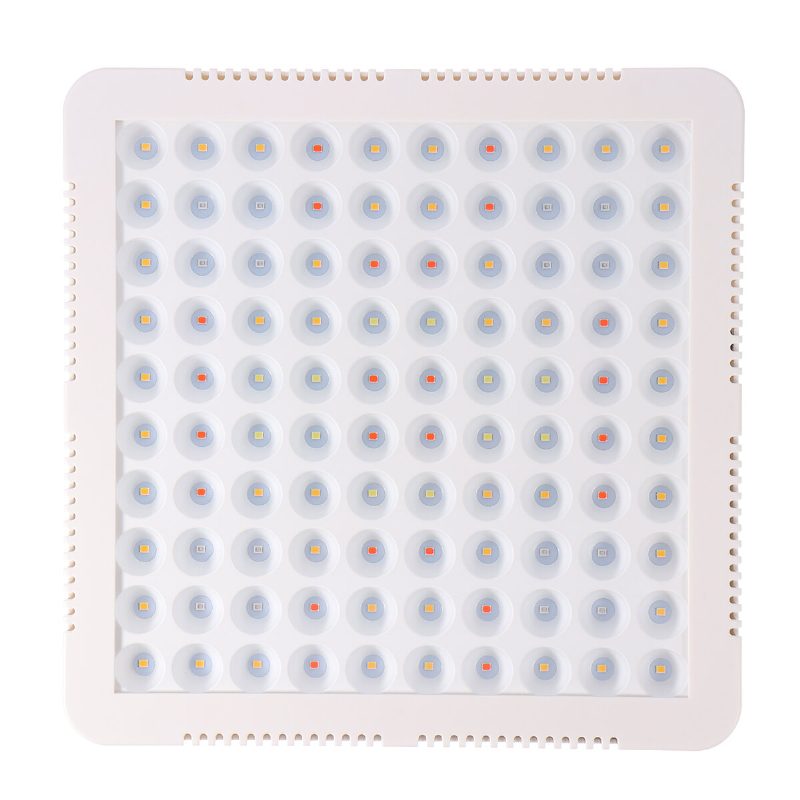 300 W 100 Led Grow Light Teljes Spektrumú Panel Beltéri Növény Virágos Világító Lámpák