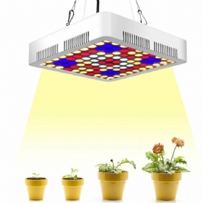 300 W 100 Led Grow Light Teljes Spektrumú Panel Beltéri Növény Virágos Világító Lámpák