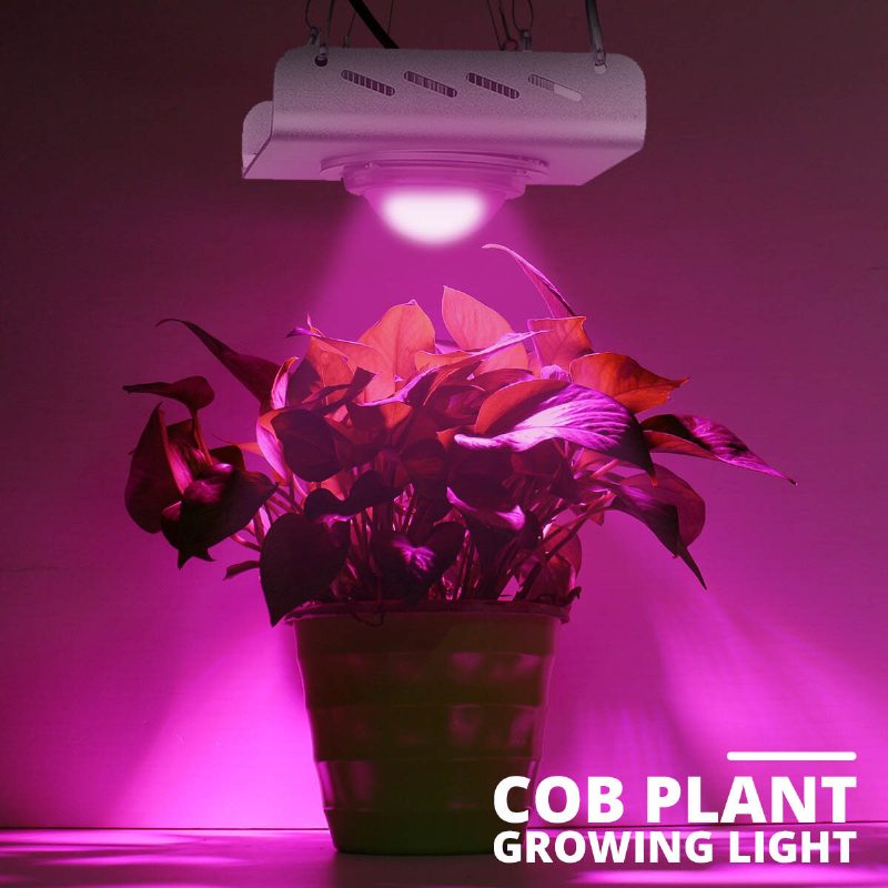 3000w 2600lm 144led Cob Grow Light Teljes Spektrumú Lámpa Növény Hidroponikus Virág A