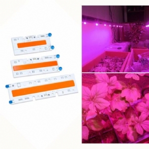 30w/50w/70w Nagy Teljesítményű Teljes Spektrumú Led Grow Cob Fénychip Növényekhez Zöldségekhez Ac110v/ac220v