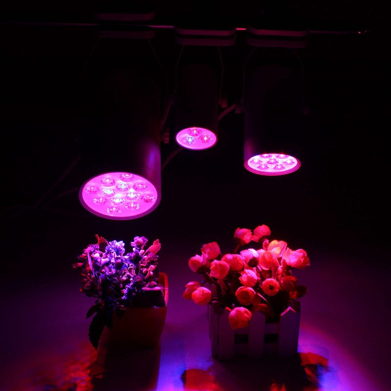 3w 7w 12w Led Növényi Lámpák Grow Lamp Flood Kiegészítő Fény