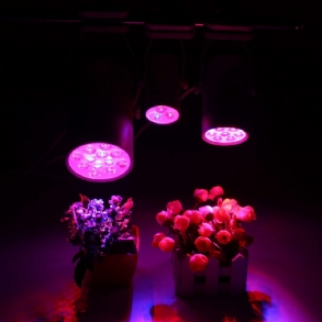 3w 7w 12w Led Növényi Lámpák Grow Lamp Flood Kiegészítő Fény