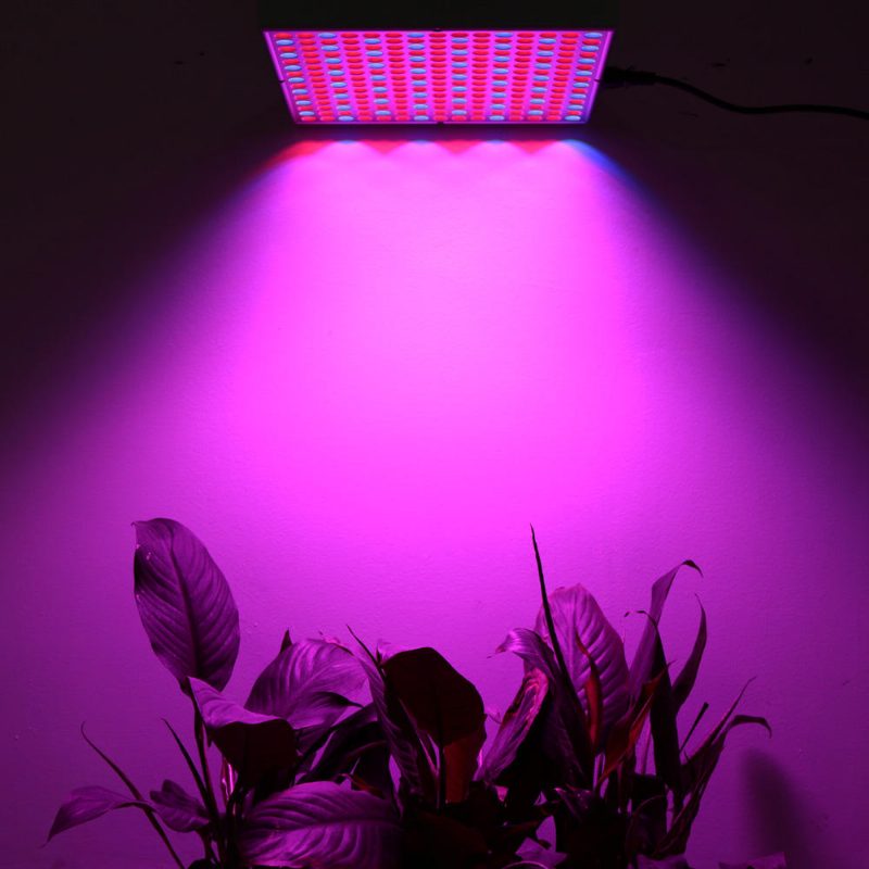 45 W 200 W Reflektor Cup Teljes Spektrumú Led Növekedési Lámpák Grow Tent Box Beltéri Üvegházhoz