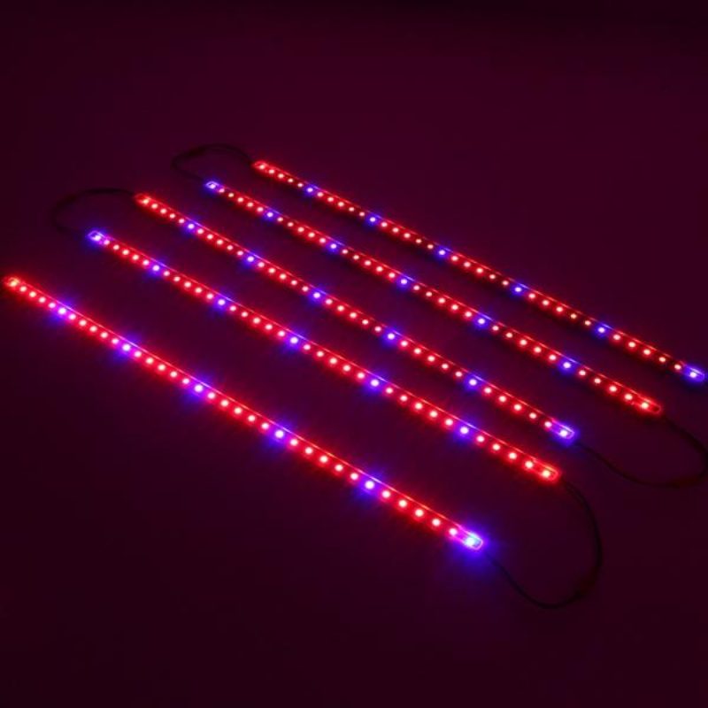 5 Db 50 cm-es Smd5050. Nem Vízálló 5:1 Led Szalaglámpa + 5 A-es Tápadapter A Grow Plant Gardenhez Dc12v