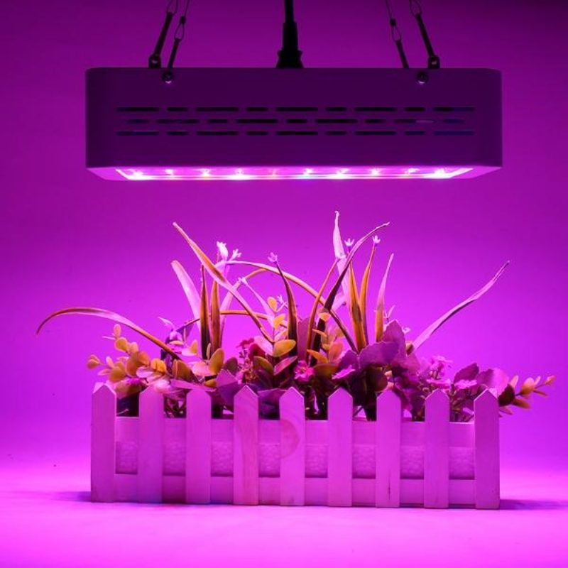 50 W Teljes Spektrumú Led Grow Light Hidroponikus Beltéri Zöldségvirágzó Lámpa