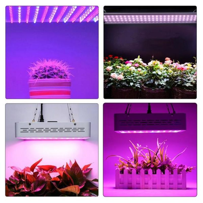 50 W Teljes Spektrumú Led Grow Light Hidroponikus Beltéri Zöldségvirágzó Lámpa