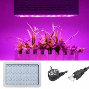 50 W Teljes Spektrumú Led Grow Light Hidroponikus Beltéri Zöldségvirágzó Lámpa