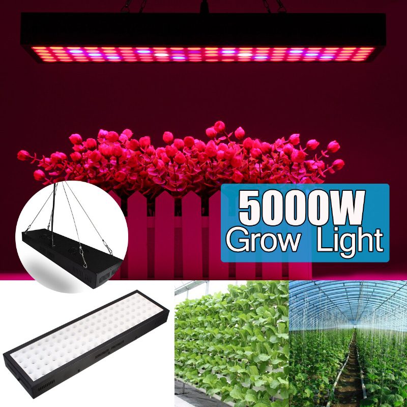 5000 W-os Led Grow Light Strip Hidroponikus Teljes Spektrumú Vega Virágos Növényi Lámpa Panel