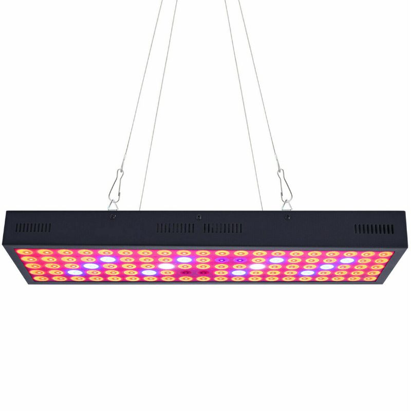 5000 W-os Led Grow Light Strip Hidroponikus Teljes Spektrumú Vega Virágos Növényi Lámpa Panel