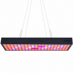 5000 W-os Led Grow Light Strip Hidroponikus Teljes Spektrumú Vega Virágos Növényi Lámpa Panel