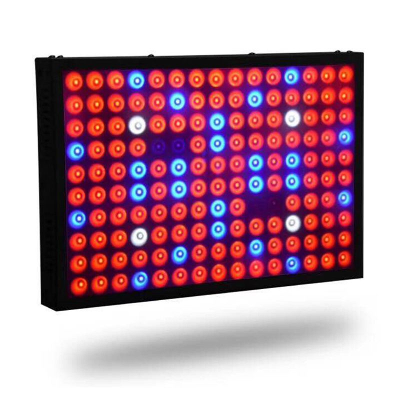 600 W Teljes Spektrumú Led Grow Light Hidroponikus Beltéri Zöldségvirágos Panellámpa