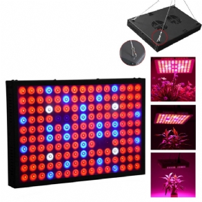 600 W Teljes Spektrumú Led Grow Light Hidroponikus Beltéri Zöldségvirágos Panellámpa