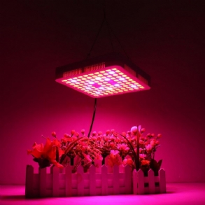 65 W Led Grow Light Panellámpa Teljes Spektrumú Hidroponikus Növénytermesztő Lámpák