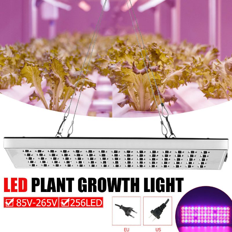 800 W Led Grow Light Teljes Spektrumú Termesztő Növényi Lámpa Hidroponikus Vega Beltéri Használatra