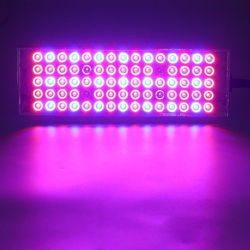 800 W Led Grow Light Teljes Spektrumú Termesztő Növényi Lámpa Hidroponikus Vega Beltéri Használatra