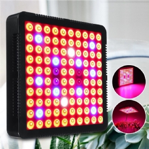 90 W Led Grow Light Hidroponikus Teljes Spektrumú Beltéri Növényi Virágvirágzás 85-265 V