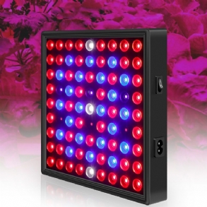 91/169led Grow Light Növénytermesztő Lámpa Kapcsos Beltéri Növényekhez Zöldség Ac85-265v