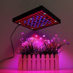 Ac110-240v Led Grow Light Teljes Spektrumú Növényi Lámpa Beltéri Hidroponikus Vegavirágokhoz