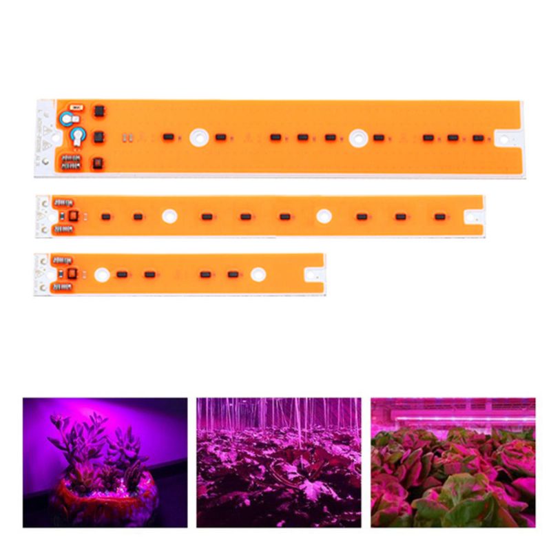 Ac110v/220v 30w 50w 80w Teljes Spektrumú Led Cob Chip Grow Fényforrás Flood Jód-volfrám Lámpához