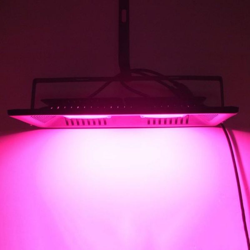 Ac220v 100w Teljes Spektrumú Led Flood Grow Light Vízálló Ip65 Beltéri Üzemünkhöz