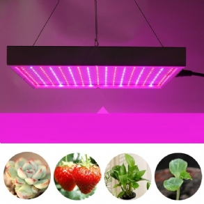 Ac85-265v 60w 289 Led Grow Light Termesztő Lámpa Zöldségvirágos Beltéri Növényekhez