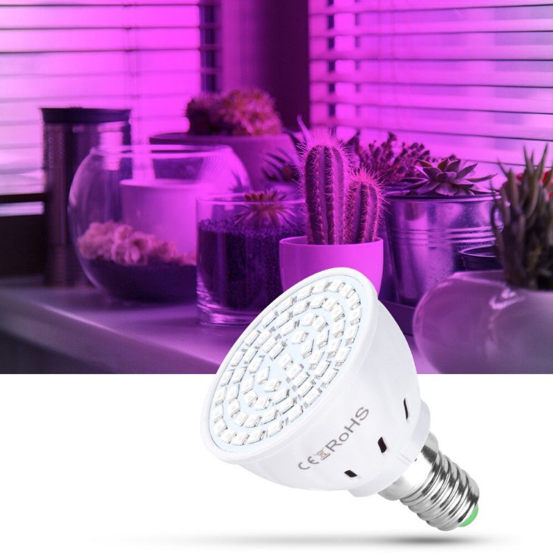 Led Fitolámpák Teljes Spektrumú Növekedési Fény Led Izzók Palánta Led Növénytermesztő Lámpatartó E14 E27 Üvegházi Ültetéshez