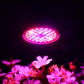 Led Izzó Növekvő Fény E27 2835 Smd Teljes Spektrumú Növényi Hidroponikus Akvárium Ac85-265v