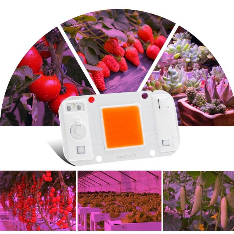 Lustreon 20w 30w 50w Teljes Spektrumú Cob Led Grow Light Chip Barkácsolás Beltéri Növényzetű Hidroponikus Ac220v-hoz