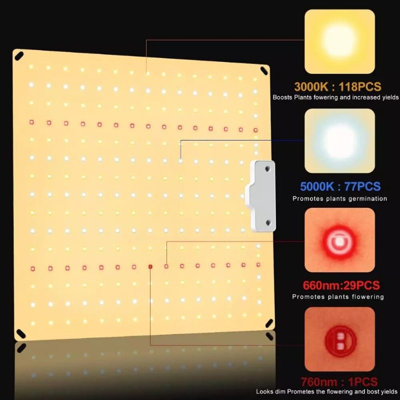 Qbcc600 Pro Ir+uv Csendes Ventilátor Nélküli Teljes Spektrumú Led-es Növekedési Fény Magas Ppfd 2x3ft Sátorhoz Zöldségcsemetékhez És Virágzáshoz