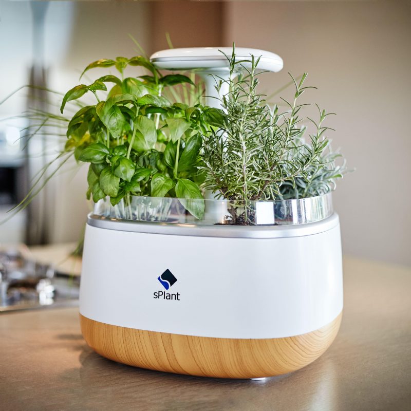 Splant Smart Fresh Herb Garden Kit Intelligens Beltéri Sprout Led-es Fényű Kerti Négy Virágcserép App Távirányítós Önöntözési Technológiával