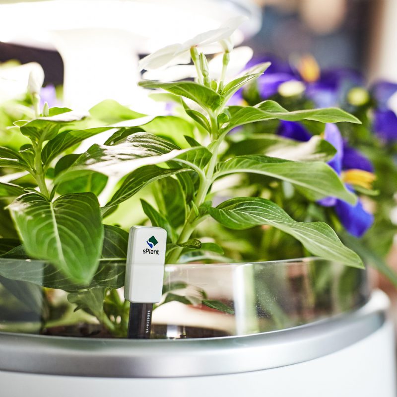 Splant Smart Fresh Herb Garden Kit Intelligens Beltéri Sprout Led-es Fényű Kerti Négy Virágcserép App Távirányítós Önöntözési Technológiával