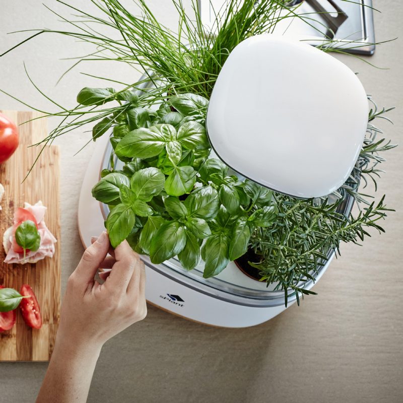 Splant Smart Fresh Herb Garden Kit Intelligens Beltéri Sprout Led-es Fényű Kerti Négy Virágcserép App Távirányítós Önöntözési Technológiával