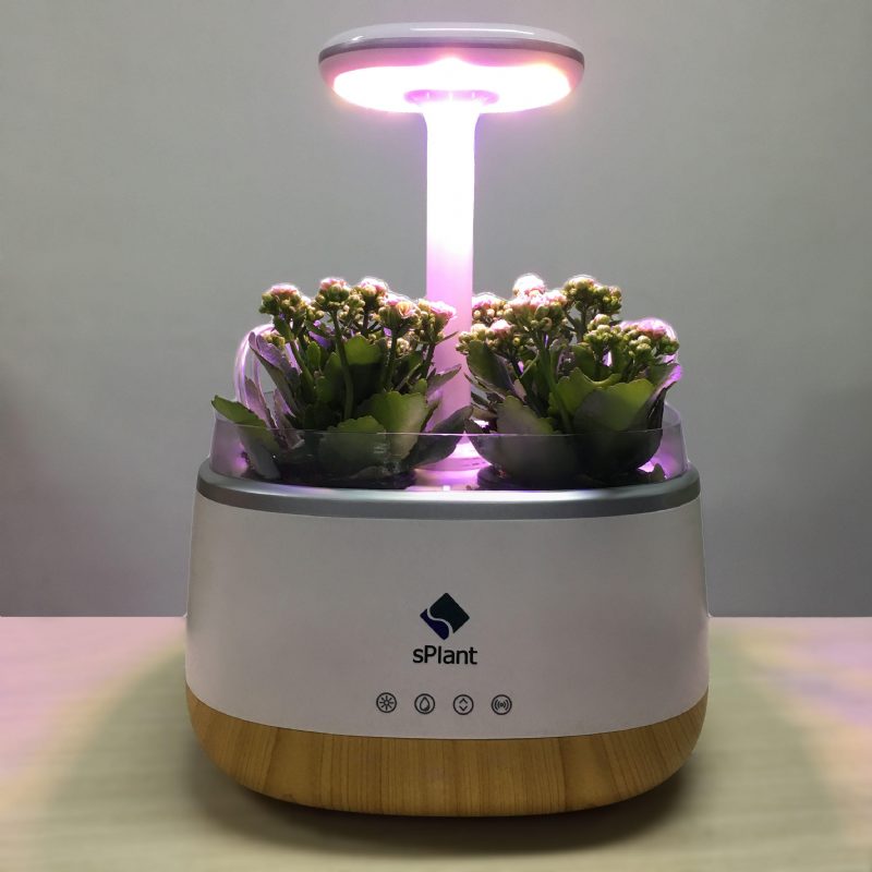 Splant Smart Fresh Herb Garden Kit Intelligens Beltéri Sprout Led-es Fényű Kerti Négy Virágcserép App Távirányítós Önöntözési Technológiával