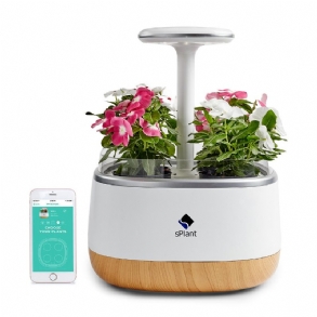 Splant Smart Fresh Herb Garden Kit Intelligens Beltéri Sprout Led-es Fényű Kerti Négy Virágcserép App Távirányítós Önöntözési Technológiával